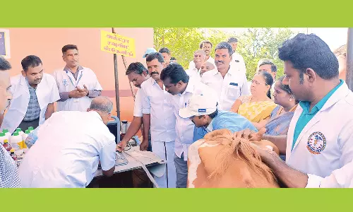 கால்நடை மருத்துவ முகாம்