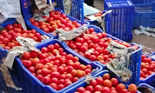 உத்தரகாண்ட் மாநிலத்தில் தக்காளி கிலோ ரூ.250-க்கு விற்பனை