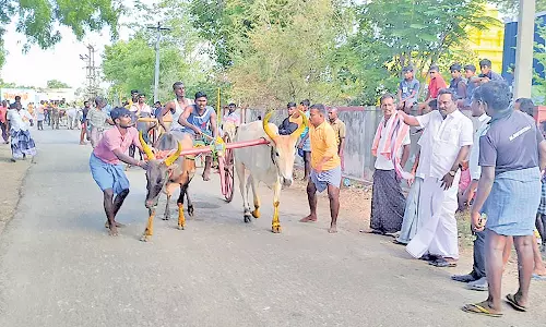 விளாத்திகுளம் அருகே கோவில் கொடை விழாவை முன்னிட்டு  மாட்டுவண்டி பந்தயம்