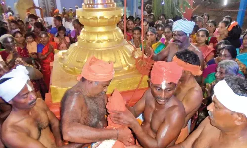 களக்காடு அருகே  நாராயண சுவாமி கோவில் ஆனித்திருவிழா கொடியேற்றம்