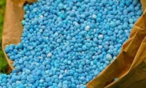 மானிய விலையில்  உரங்களை முனைய  கருவி மூலம் விற்பனை செய்ய வேண்டும்