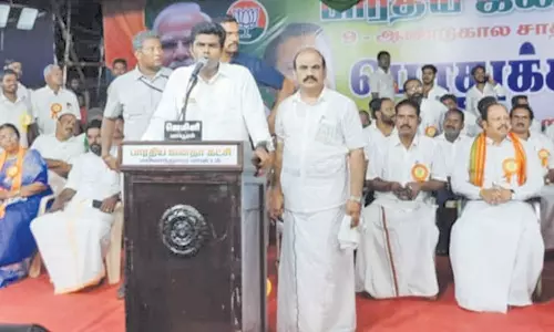 திருக்கடையூரில் பா. ஜனதா சார்பில்சா தனை விளக்க பொதுக்கூட்டம்