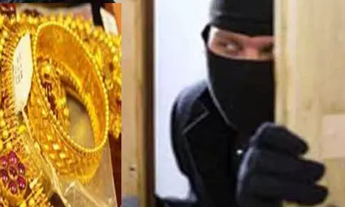 பெண்ணிடம் நகை பறித்த முக மூடி கொள்ளையனை பிடிக்க தனிப்படை அமைப்பு