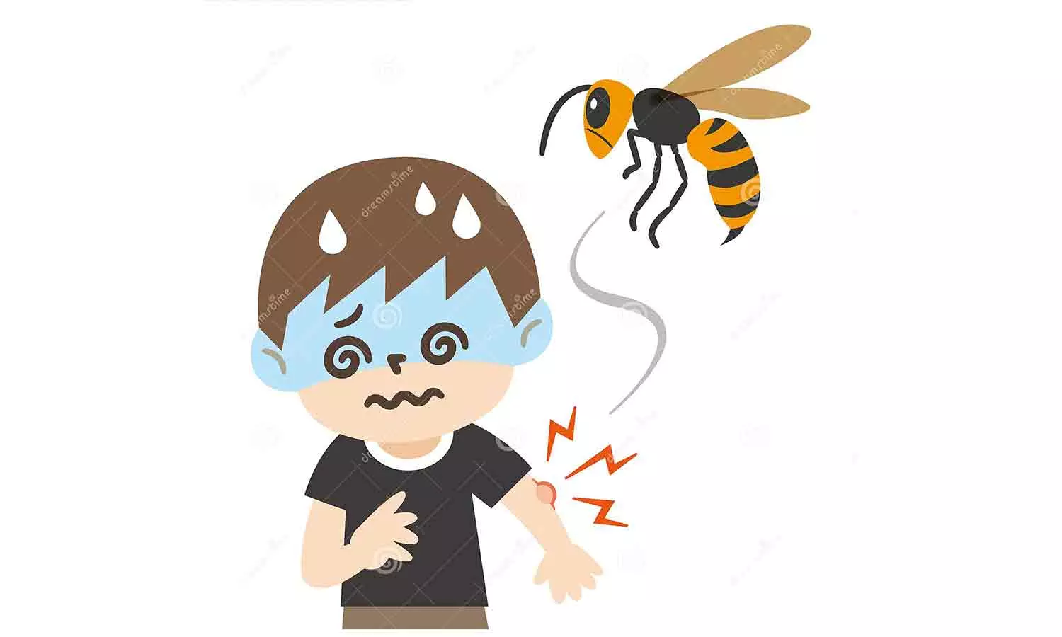 3 மாதங்களுக்கு ஒருமுறை டெங்கு பரவல்-சுகாதாரத்துறை நடவடிக்கை எடுக்குமா? 3 மாதங்களுக்கு ஒருமுறை டெங்கு பரவல்-சுகாதாரத்துறை நடவடிக்கை எடுக்குமா?