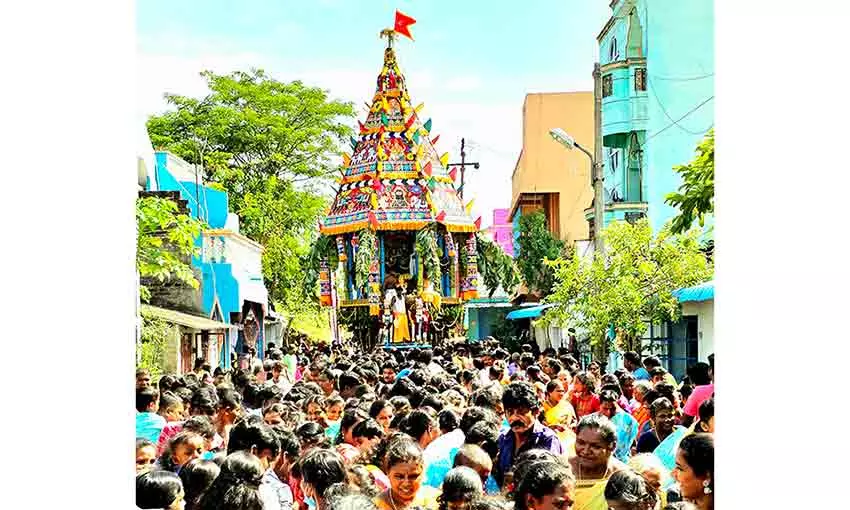 மூலநாதர் கோவில் தேரோட்டம் மூலநாதர் கோவில் தேரோட்டம்