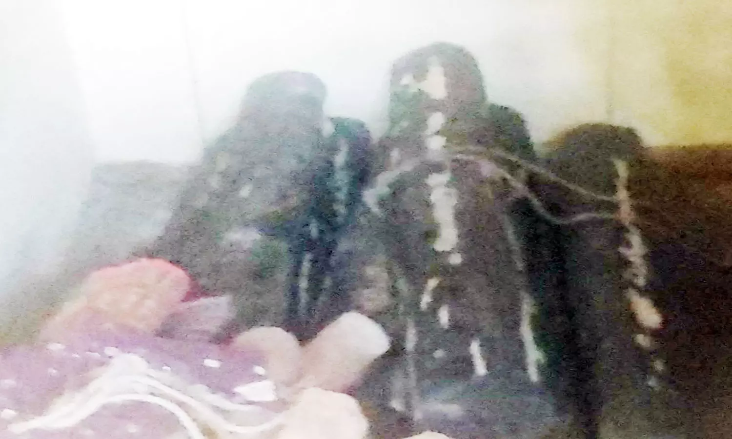 மாட்டு கொட்டகையில் செம்மரங்கள் பதுக்கல் மாட்டு கொட்டகையில் செம்மரங்கள் பதுக்கல்