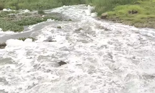 ஜேடர்பாளையம் தடுப்பணையில் இருந்து ராஜா வாய்க்காலுக்கு தண்ணீர் திறப்பு