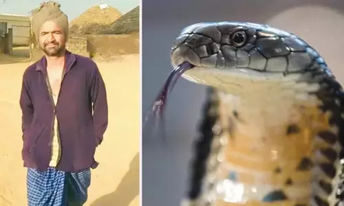 5 நாட்களில் 2 முறை கடித்தது: பாம்பு கடித்து பலியான தொழிலாளி