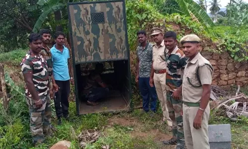 அம்மாபேட்டை அருகே கால்நடைகளை வேட்டையாடி வரும் சிறுத்தையை பிடிக்க கூண்டு வைப்பு