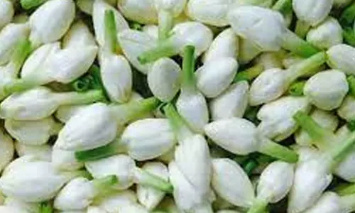 நொய்யல் பகுதியில் வரத்து குறைவால் பூக்களின் விலை உயர்வு