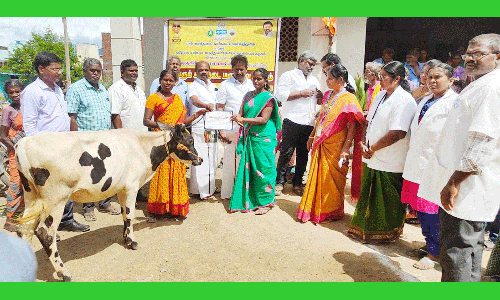 சிறப்பு கால்நடை மருத்துவ முகாம்