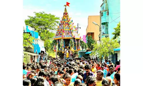 மூலநாதர் கோவில் தேரோட்டம்