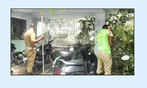 நீதிமன்றத்தில் பாம்புகள் நடமாட்டம்