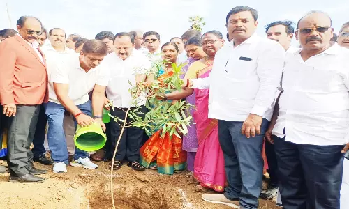 ஒரு மணிநேரத்தில் 1 லட்சம் மரக்கன்று நட்டு சாதனை