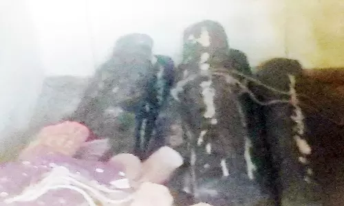 மாட்டு கொட்டகையில் செம்மரங்கள் பதுக்கல்