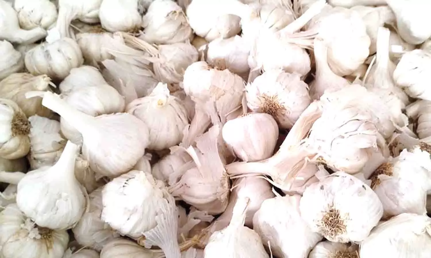 மேட்டுப்பாளையம் காய்கறி மண்டியில் பூண்டு விலை கடும் உயர்வு