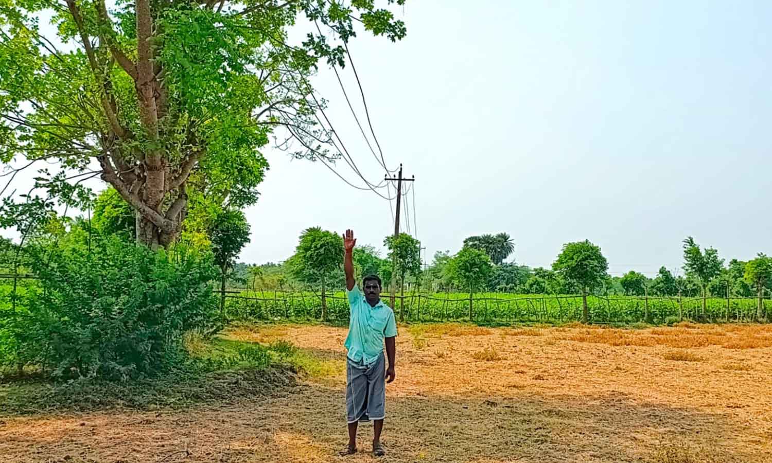 தாழ்வாக செல்லும் மின்கம்பிகள் சீரமைக்கப்படுமா? Will the downed power