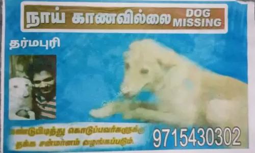 நாய் காணவில்லை என போஸ்டர் அடித்து போலீசில் புகார் அளித்த இளைஞர்