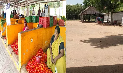 திண்டுக்கல் உழவர் சந்தையில் தக்காளி ரூ.110க்கு விற்பனை
