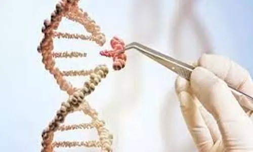 டி.என்.ஏ.பரிசோதனைக்கு 8 பேர் மீண்டும் மறுப்பு