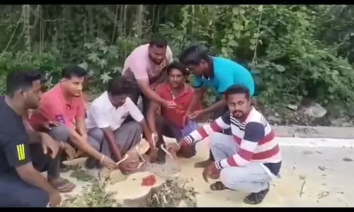 குளித்தலை நகர புறவழிச்சாலையில் மரங்களை வெட்ட எதிர்ப்பு