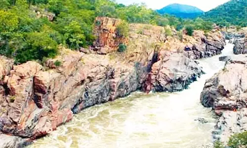 காவிரி ஆற்றின் குறுக்கே மேகதாது அணை கட்டினால் தமிழகமே எதிர்த்து நிற்கும்