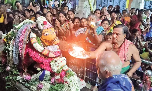 விளாத்திகுளம் மீனாட்சி சுந்தரேஸ்வரர் கோவிலில் சனி பிரதோஷம்