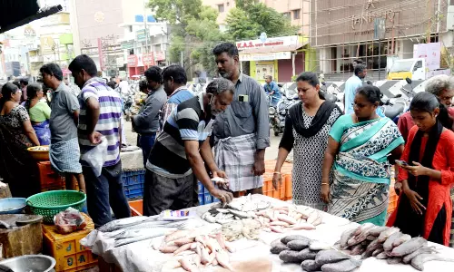 ஈரோடு மார்க்கெட்டுக்கு மீன்கள் வரத்து 20 டன்னாக அதிகரிப்பு