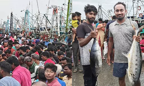 காசிமேட்டில் விற்பனைக்கு குவிந்த பெரிய வகை மீன்கள்- விலை குறையாததால் ஏமாற்றம்