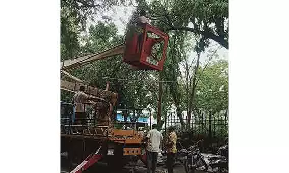 சூறைக்காற்றில் முறிந்து விழுந்த 100 டன் மரக்கழிவுகள் அகற்றம் சூறைக்காற்றில் முறிந்து விழுந்த 100 டன் மரக்கழிவுகள் அகற்றம்