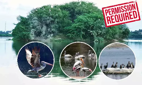 வன அலுவலர்களிடம்  அனுமதி பெற்ற பின்னரே  நஞ்சராயன்குளம்  சரணாலயத்துக்குள் செல்ல வேண்டும். - கலெக்டர் அறிவிப்பு