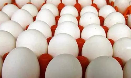 நாமக்கல் மண்டலத்தில் முட்டை விலை 5 காசுகள் உயர்வு