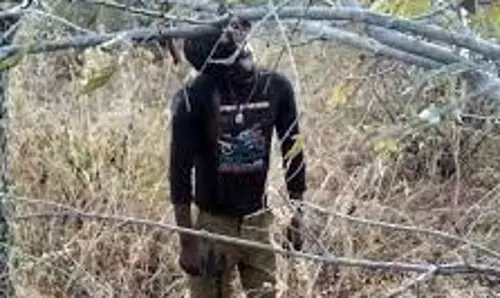 முந்திரி காட்டில் தூக்கில் வாலிபர் பிணம்