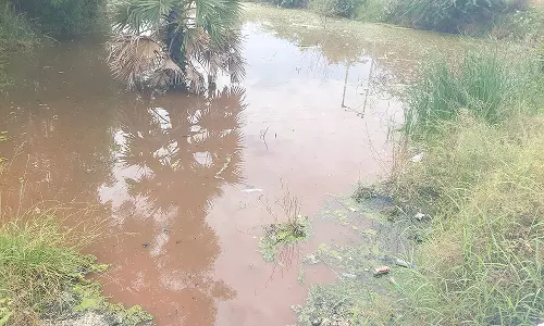 தியாகதுருகம் அருகே ஏரியில் கலக்கும் கழிவு நீரால் சுகாதார சீர்கேடு ஏற்படும் அவலம்