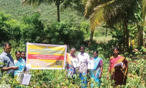 அதிகாரிகள் குழுவினர் ஆய்வு