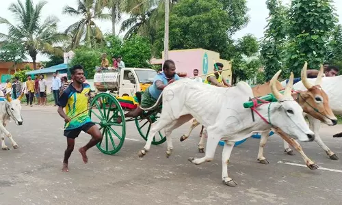 மாட்டுவண்டி பந்தயம்