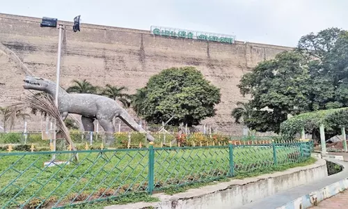 மேட்டூர் அணை பூங்காவை ஒரே நாளில் 7513 பேர் பார்வையிட்டனர்