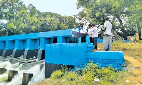 காவிரி தலைப்பில் நீர்வளத்துறை அதிகாரி ஆய்வு