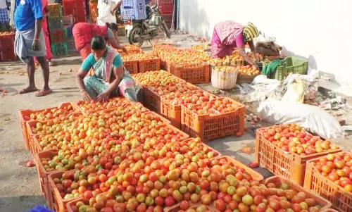 தக்காளி விலை ஏற்றத்தால் பொதுமக்கள் அதிர்ச்சி