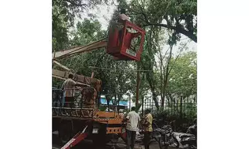 சூறைக்காற்றில் முறிந்து விழுந்த 100 டன் மரக்கழிவுகள் அகற்றம்