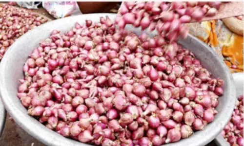 தக்காளியை தொடர்ந்து சின்னவெங்காயம் விலையும் உயர்வு