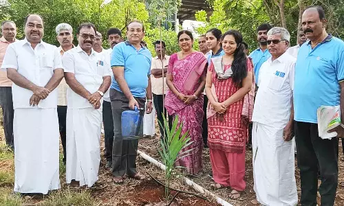 மரக்கன்றுகள் நடும் விழா