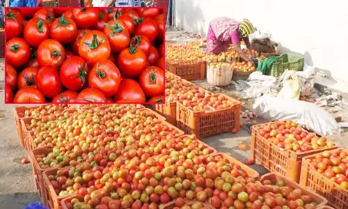 கோயம்பேடு சந்தையில் தக்காளி 120 ரூபாய்க்கு விற்பனை