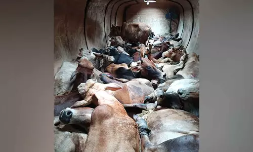 சினிமாவை மிஞ்சும் காட்சி.... டேங்கரில் கடத்தப்பட்ட மாடுகள்- அதிர்ந்து போன அதிகாரிகள்