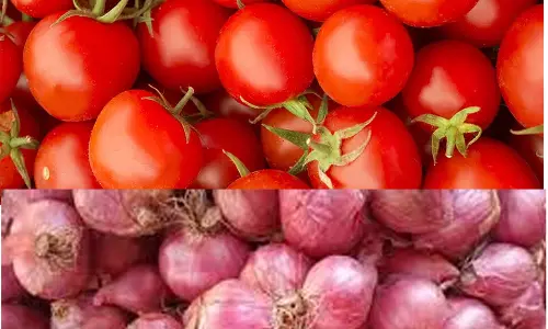 மதுரை காய்கறி மார்க்கெட்டுகளில் தக்காளிக்கு தொடரும் கிராக்கி