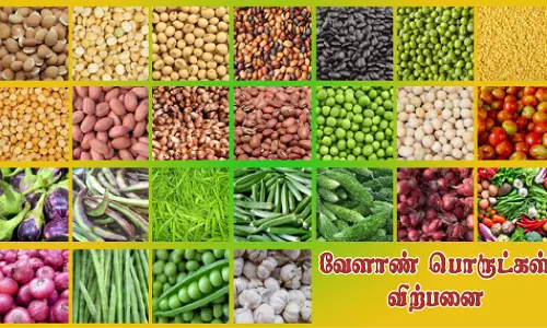 சாலைப்புதூரில் வேளாண் பொருட்கள் ரூ.15.40 லட்சத்துக்கு விற்பனை