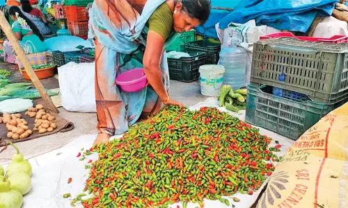 தக்காளி விலையை தொடர்ந்து பச்சை மிளகாய், அவரைக்காய் விலையும் 100 ரூபாயாக உயர்வு