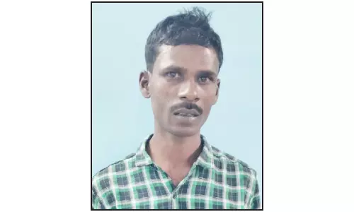 மிளகாய் தோட்டத்தில் கஞ்சா செடி வளர்த்தவர் கைது