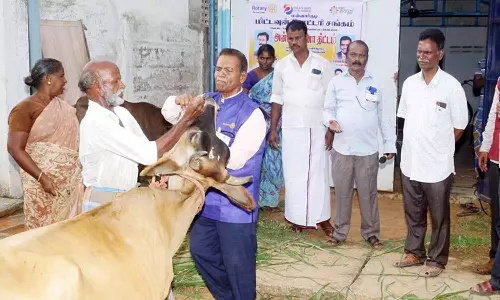 கால்நடை மருத்துவ முகாம்