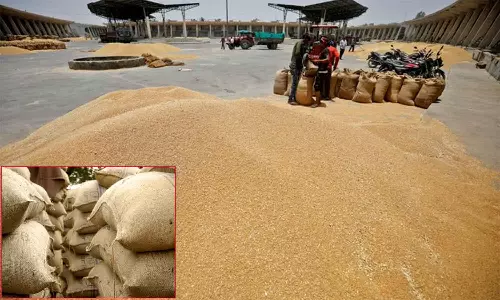 கடும் உணவு நெருக்கடியில் ஆப்கானிஸ்தான்: 10 ஆயிரம் டன் கோதுமை வழங்கிய இந்தியா